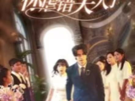 陸總住手吧，你虐錯(cuò)夫人了(全集)