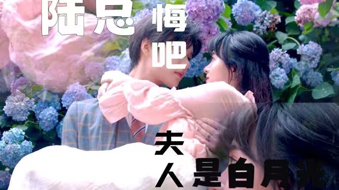 陸總懺悔吧，夫人才是白月光(全集)