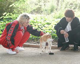 難破MG5特別篇(全集)