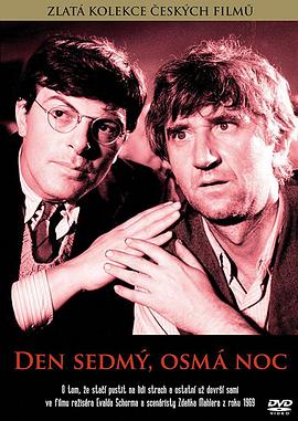 第七日，第八夜