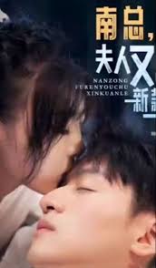 南總，夫人又出新款了(全集)