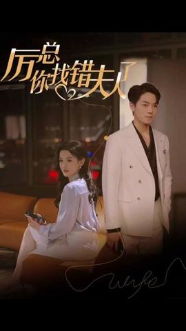 厲總，你找錯夫人了(全集)