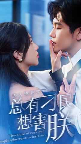 夫人快救駕，總有刁民想害朕(全集)