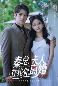 秦總，夫人在找你離婚(全集)