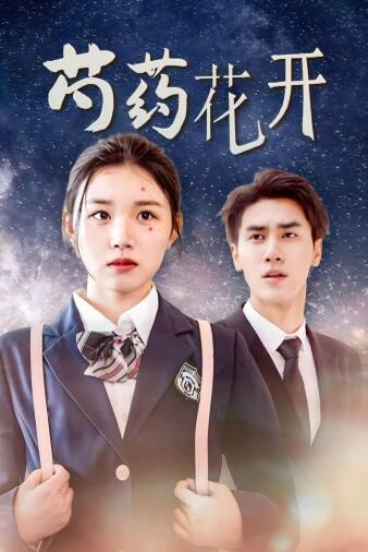 芍藥花開(kāi)&火光中的芍藥花(全集)