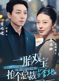一胎雙寶，搶個總裁當(dāng)?shù)?全集)