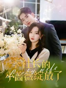 季社長的小薔薇綻放了(全集)