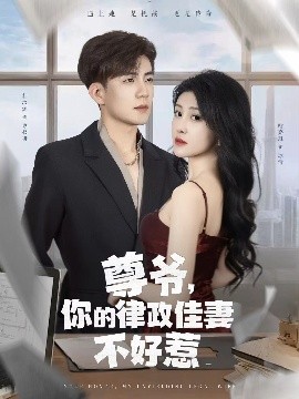 尊爺，你的律政嬌妻不好惹(全集)