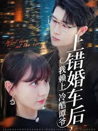 上錯(cuò)婚車(chē)后我賴上冷酷譚爺(全集)