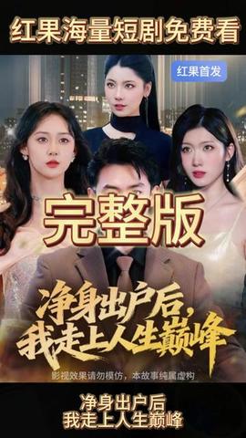 凈身出戶后，我走上人生巔峰(全集)