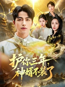 護(hù)你三年，神婿不裝了(全集)