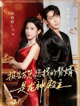 報(bào)告蘇總，您找的贊婿是龍神殿主(全集)