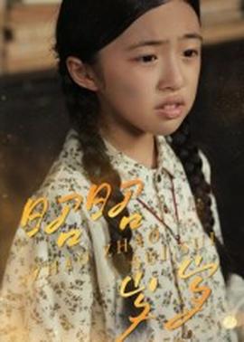 昭昭歲歲(全集)