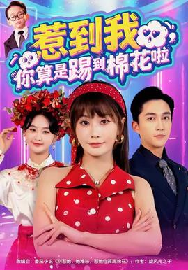 惹到我，你算是踢到棉花啦(全集)