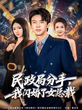 民政局分手，我閃婚了女總裁(全集)