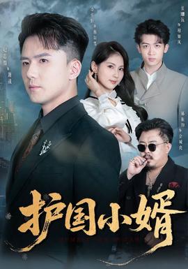 護(hù)國小婿(全集)