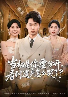 當(dāng)初是你要分開，看到遺產(chǎn)怎么哭了？(全集)