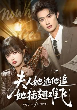 夫人她逃他追，她插翅難飛(全集)