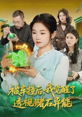 被車撞后，我覺醒了透視賭石異能了(全集)