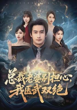 總裁老婆別擔心，我醫(yī)武雙絕(全集)