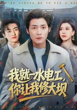我就一水電工，你讓我修大壩(全集)