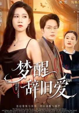 夢醒辭舊愛(全集)