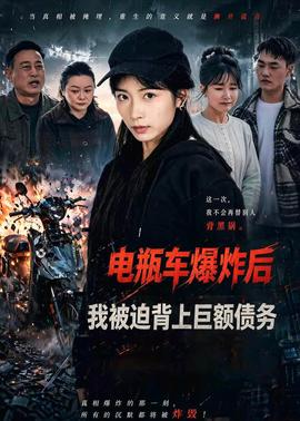 電瓶車爆炸后，我被迫背上巨額債務(wù)(全集)